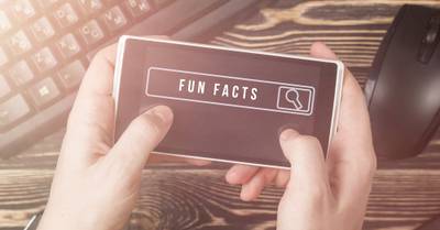 Fun-Facts: \