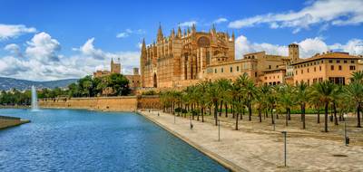 Steuertage 2025 auf Mallorca